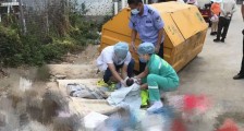 广东东莞垃圾桶弃婴案侦破 其父母采取刑事强制措施