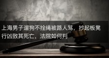 上海男子遛狗不拴绳被路人骂，抄起板凳行凶致其死亡，法院如何判