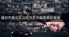 潍坊市奎文区法院贷款诈骗罪典型案例