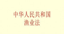 中华人民共和国渔业法2021年全文【修正】