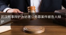 武汉刑事辩护为妨害公务罪案件被告人辩护