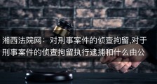 湘西法院网：对刑事案件的侦查拘留,对于刑事案件的侦查拘留执行逮捕和什么由公安机关负责