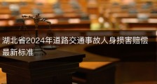 湖北省2024年道路交通事故人身损害赔偿最新标准