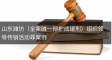 山东潍坊（全案唯一辩护成缓刑）组织领导传销活动罪案例