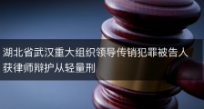 湖北省武汉重大组织领导传销犯罪被告人获律师辩护从轻量刑