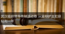 武汉组织领导传销活动罪 从轻辩护主犯获轻刑一年