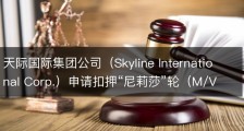 天际国际集团公司（Skyline International Corp.）申请扣押“尼莉莎”轮（M/V NERISSA）案